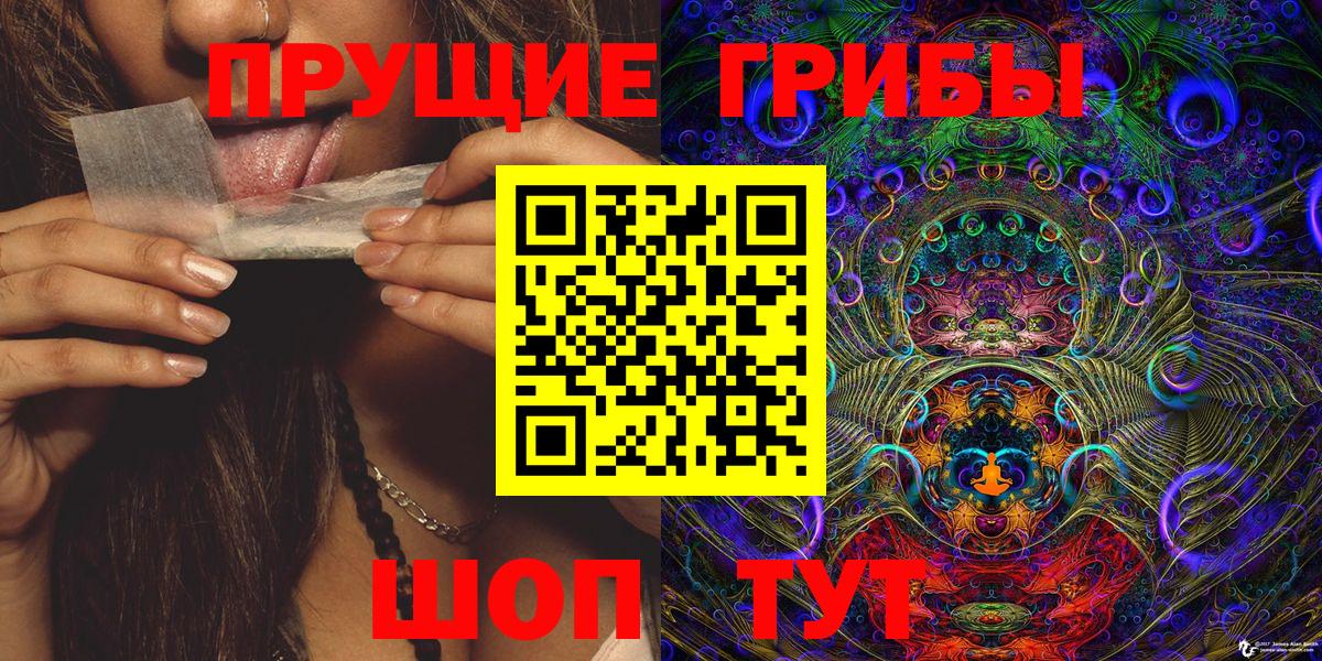 Псилоцибиновые грибы Cubensis  Вход с VPN  Назарово 
